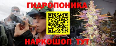 скорость Пушкино