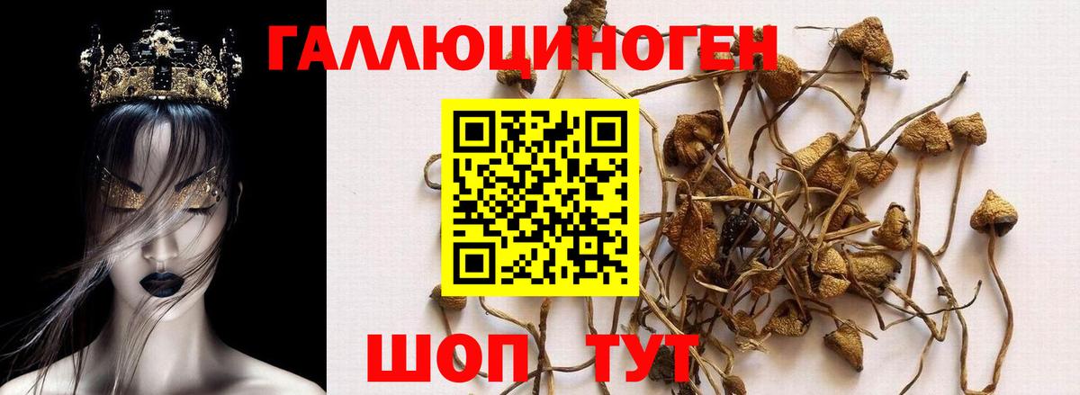 Галлюциногенные грибы прущие грибы  Псилоцибиновые грибы мицелий  Вход с VPN  Павловский Посад 